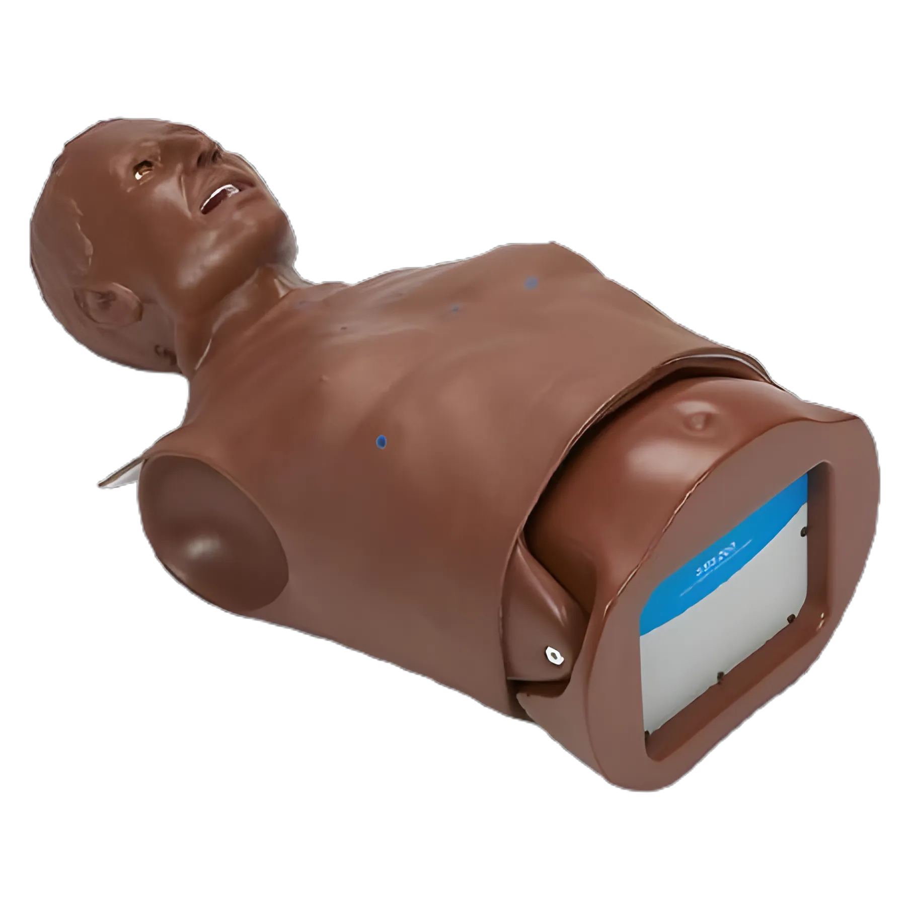 Gaumard HAL Gender Neutral Adult Heart & Lung Training Torso - 43 lbs, Dark Skin Tone, SB51791 D