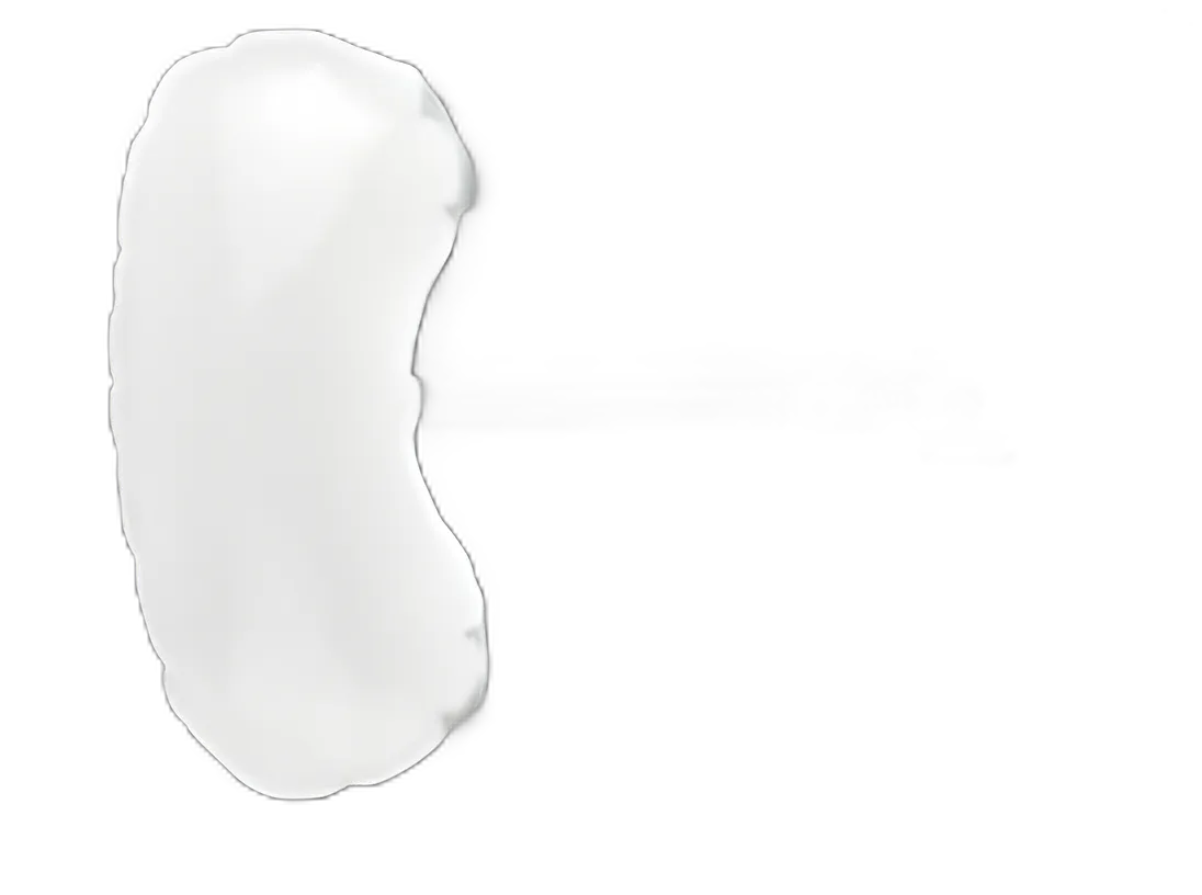 Balloon PDB™ Kidney
