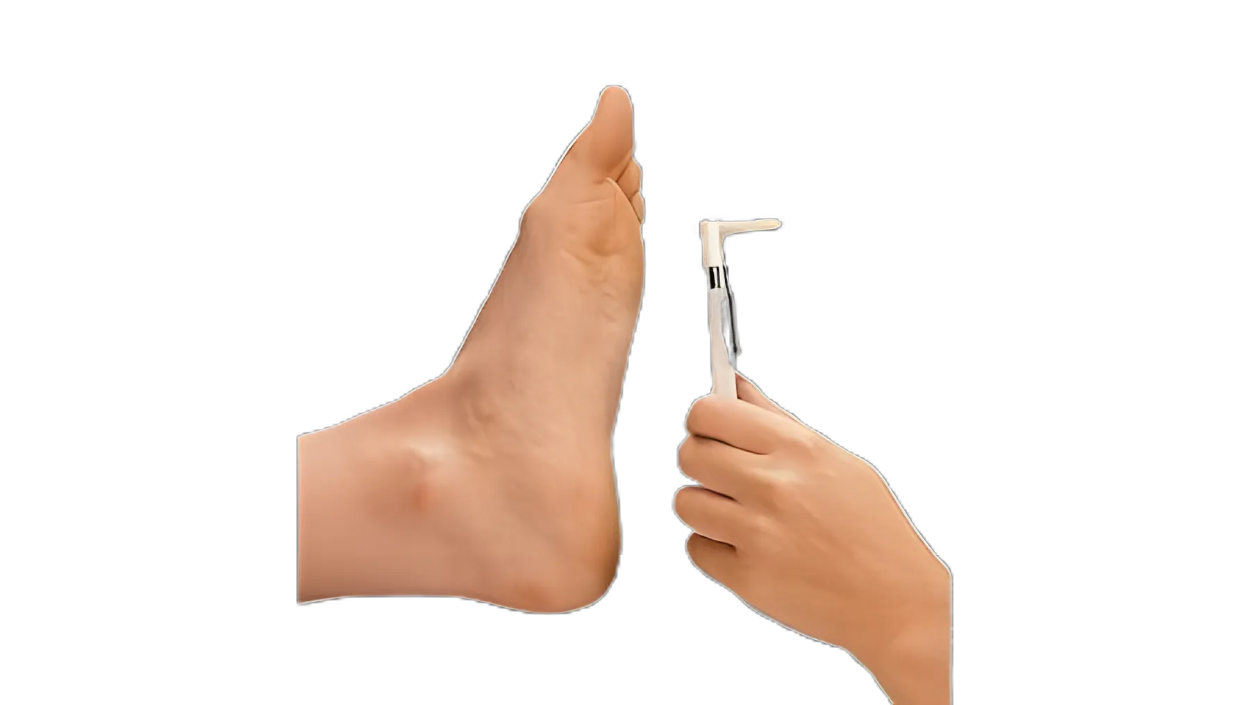 Touch-Test® Sensory Evaluator for Neurological Function Assessment