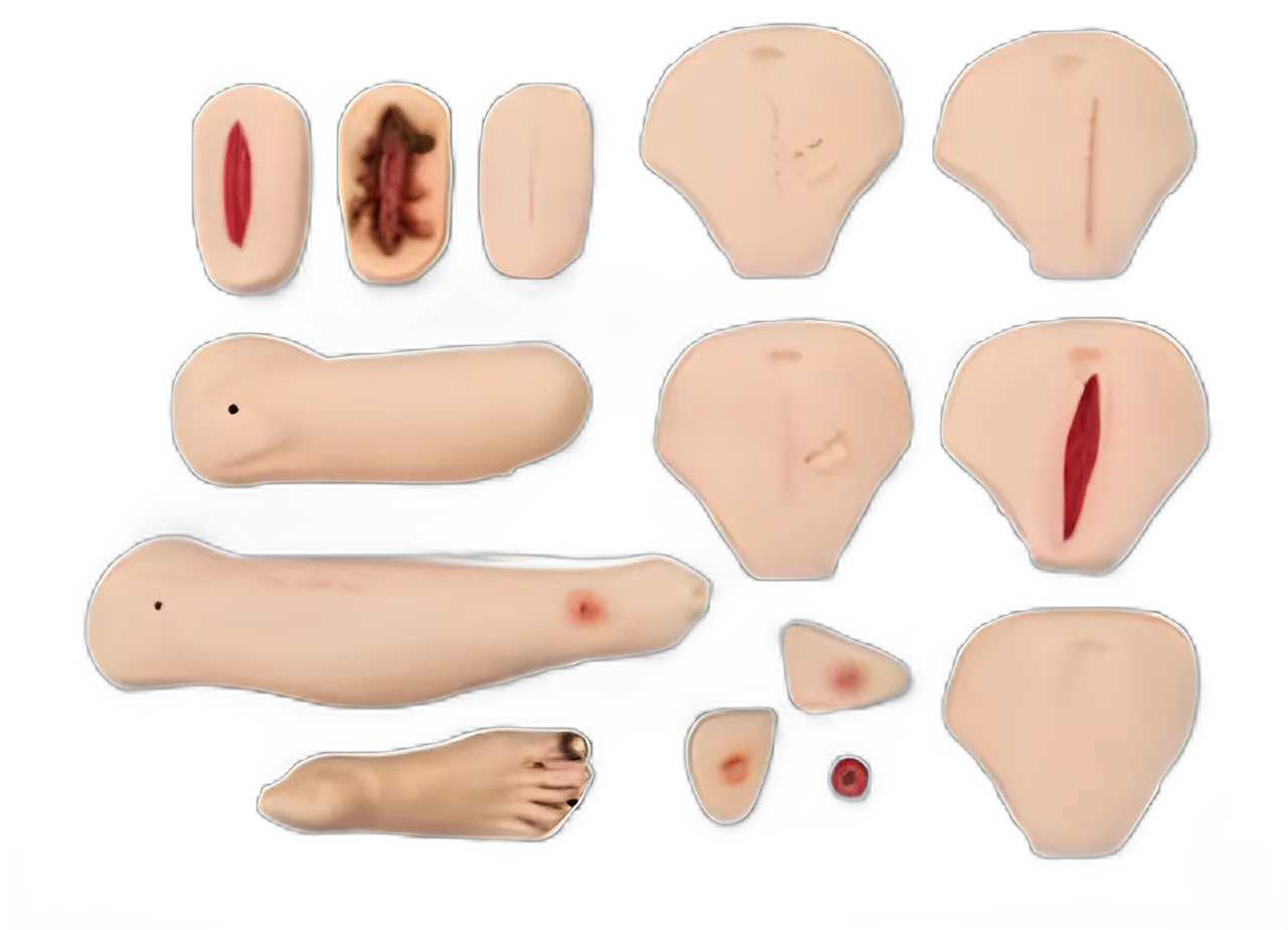 Wound Care and Assessment Set