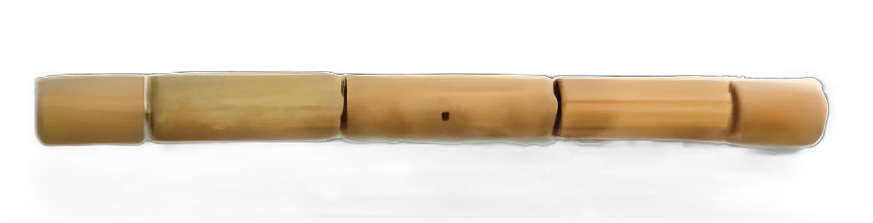 Transverse Connection Prosthetic Pelvic