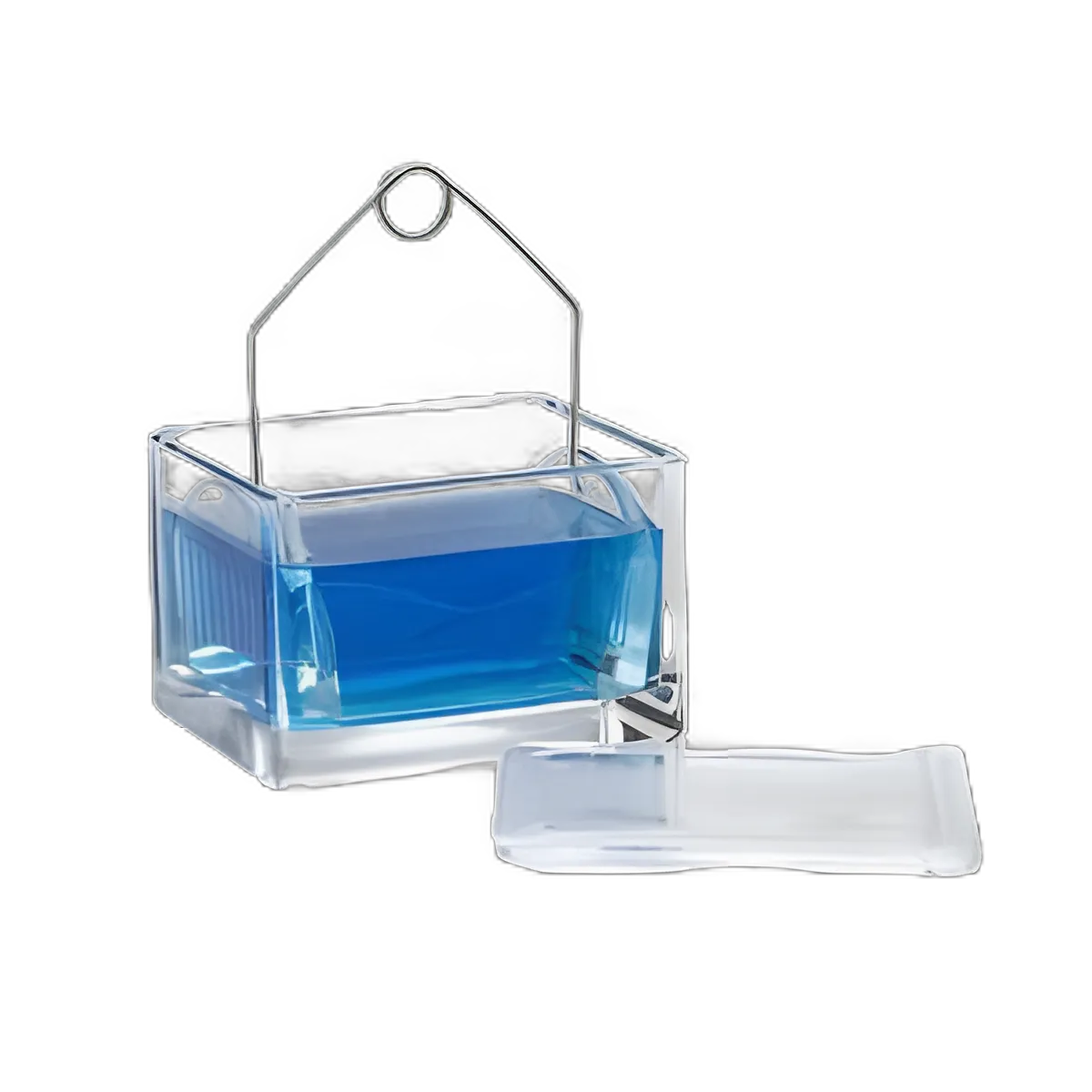 Wheaton® Soda Lime Glass Staining Dish with Cover for Laboratory Use