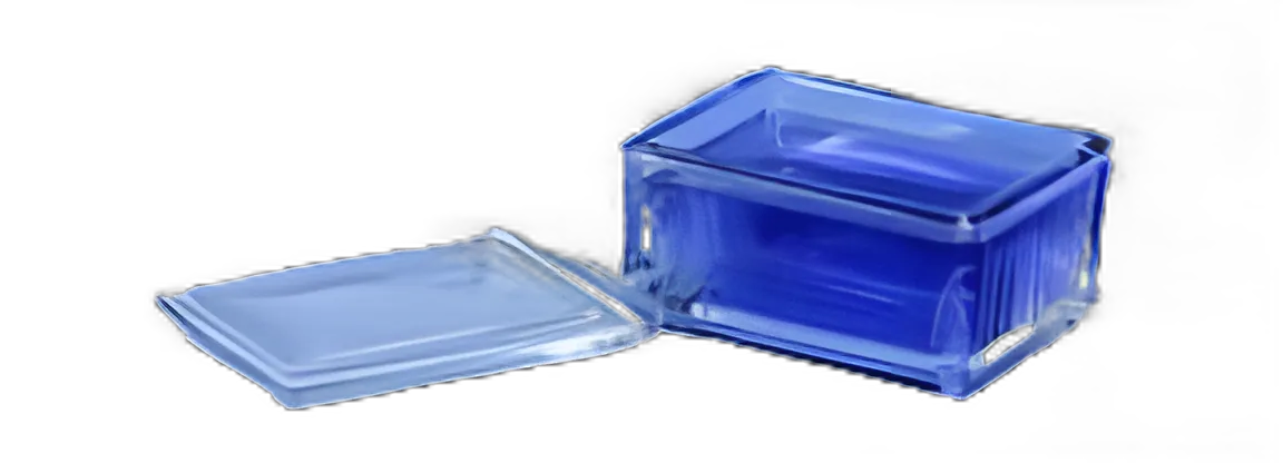 Handle 20-Slide Glass Staining Dish