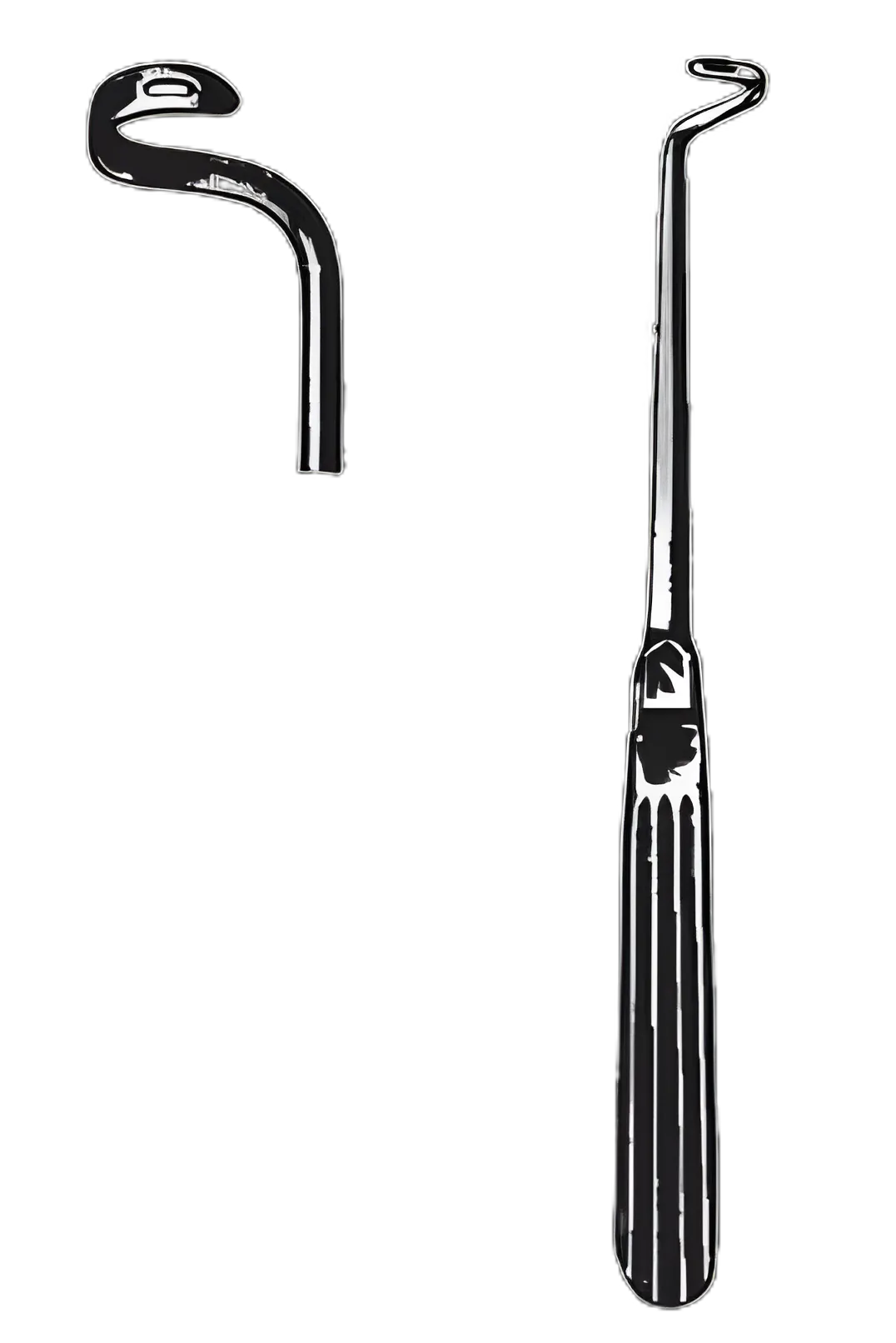 Nelson Blunt Right Type Ligature Carrier 9.75 Inch - Reusable, Stainless Steel