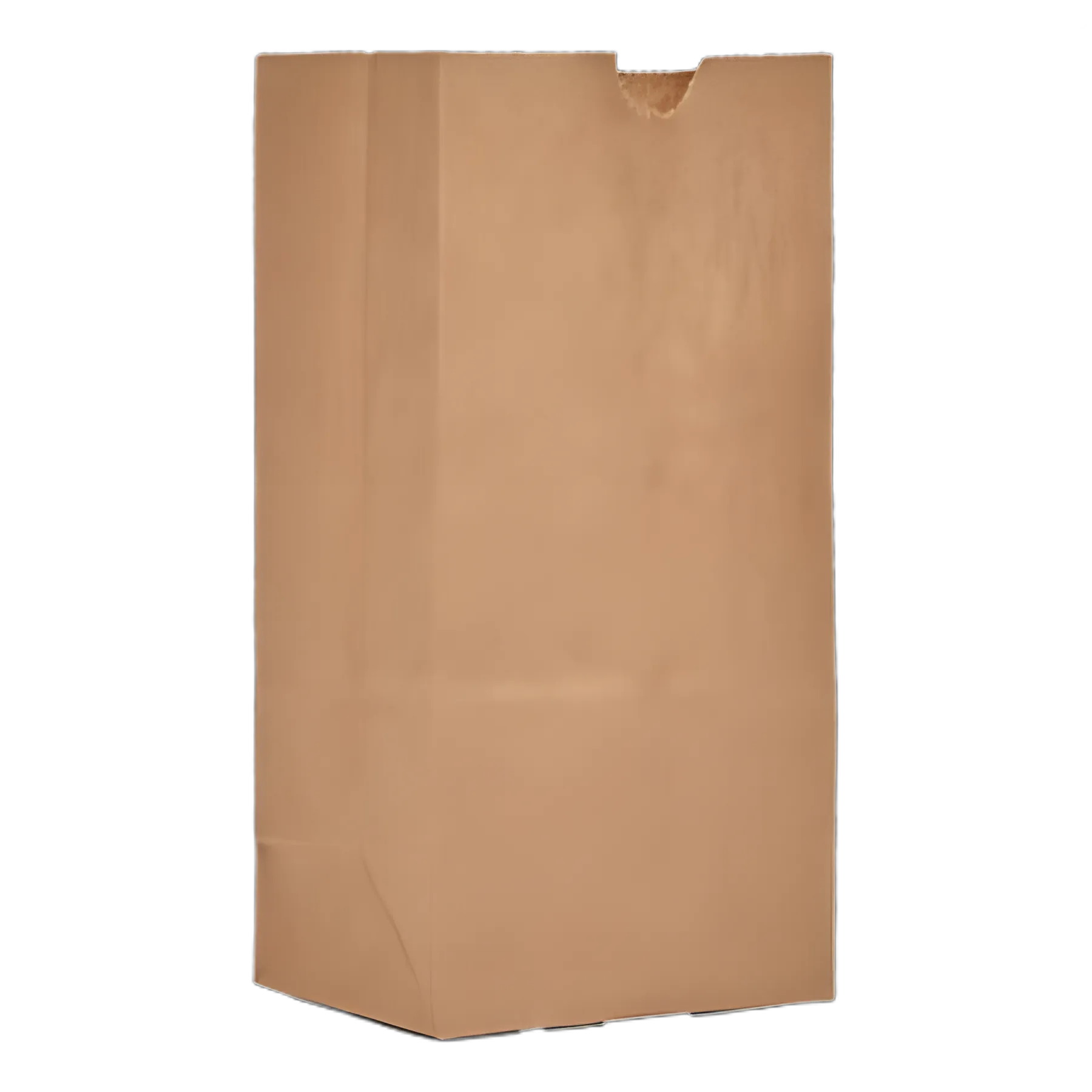 Eco-Friendly Kraft Paper Grocery Bags, 30 lb Capacity - Ideal for Medical and Retail Use