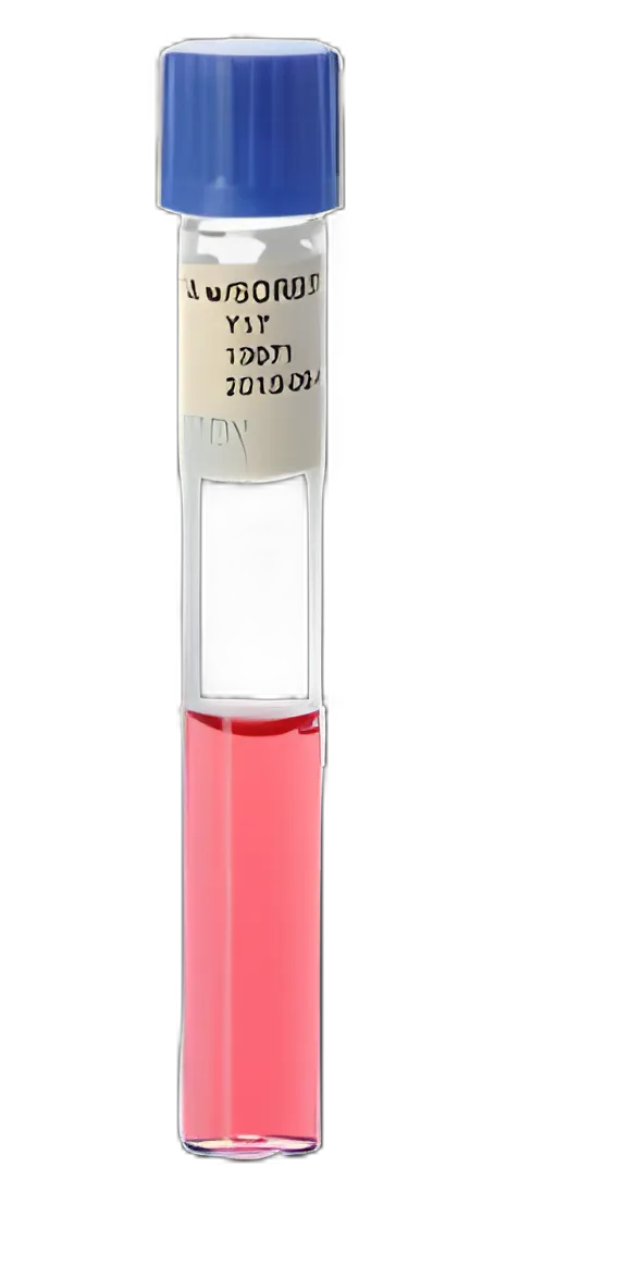 Prepared Media Cystine Trypticase™ Agar (CTA Medium™) with Sorbitol Tube Format