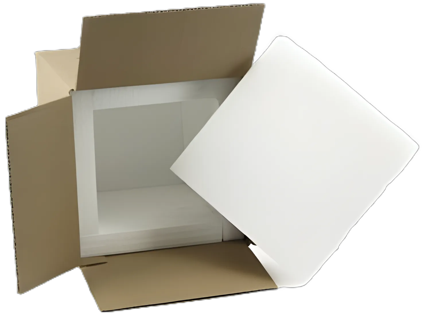 McKesson 14x14x14 Inch Transport Cooler Kit for Clinical Laboratories