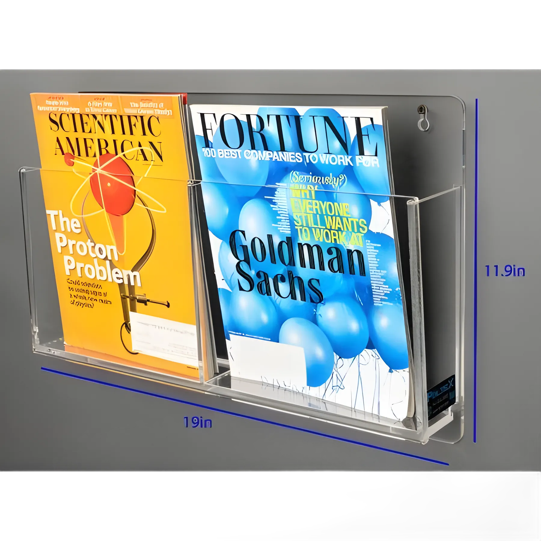 Poltex 2-Pocket Horizontal Magazine Rack - Durable Acrylic Medical Office Organizer